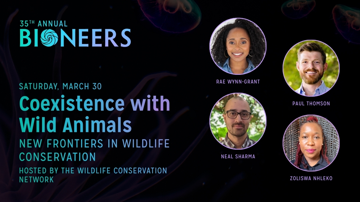 Coexistence with Wild Animals: New Frontiers in Wildlife Conservation ...